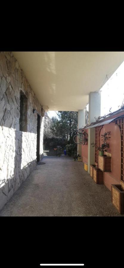 Yellow House Apartment Turin Exterior photo